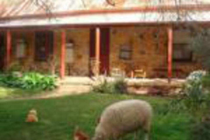 Kingaroy Accommodation