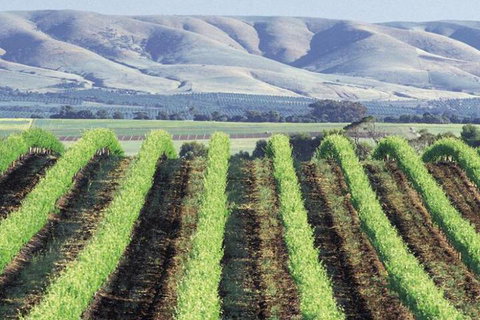 Willunga House - Kingaroy Accommodation 4