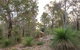 A Hidden Bush Delight - thumb 6