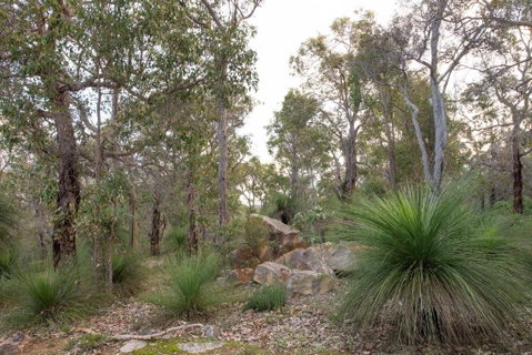 A Hidden Bush Delight - Kingaroy Accommodation 6