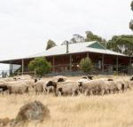 Gilgraves Vineyard Farmstay - Kingaroy Accommodation