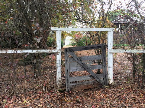 Historic Oak Hill House Estate Truffle Gourmet Festival Region - Kingaroy Accommodation 2