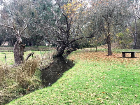 Historic Oak Hill House Estate Truffle Gourmet Festival Region - Kingaroy Accommodation 1