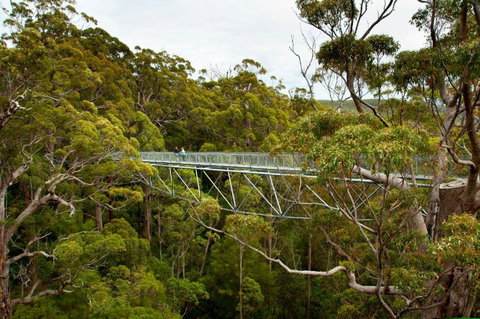 Riverside Retreat Chalets Walpole - Kingaroy Accommodation 5