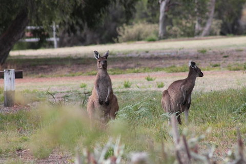 Riverside Retreat Chalets Walpole - Kingaroy Accommodation 6