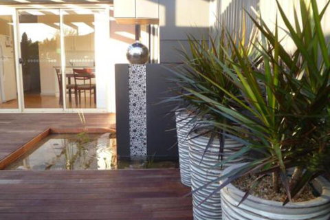 The Wet Lizard - Kingaroy Accommodation 0