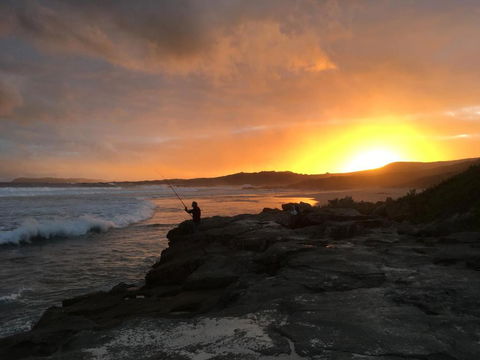 Blue House Denmark - Kingaroy Accommodation 4