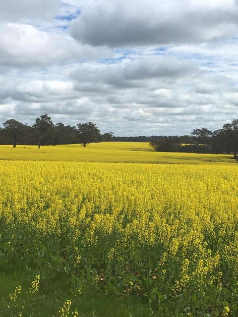 Blue House Denmark - Kingaroy Accommodation 5