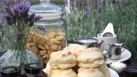 Jettycove Beach House - Kingaroy Accommodation 6