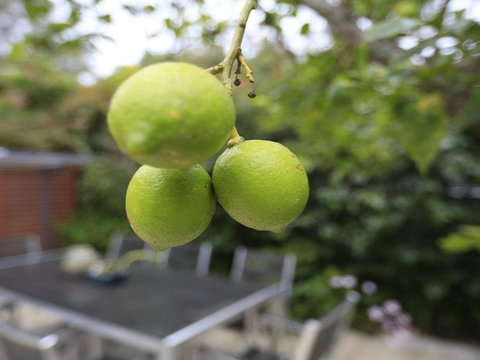 Tradewinds At The Bay All The Comforts Of Home - Kingaroy Accommodation 4