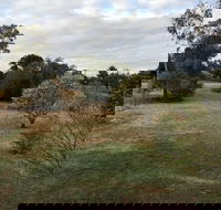 Young Budget Accommodation - Kingaroy Accommodation