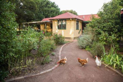 Malakai Farm Stay - Kingaroy Accommodation 2