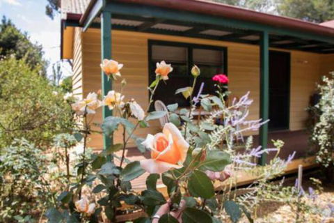 Malakai Farm Stay - Kingaroy Accommodation 3
