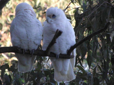 Green Point Lakehouse - Kingaroy Accommodation 6