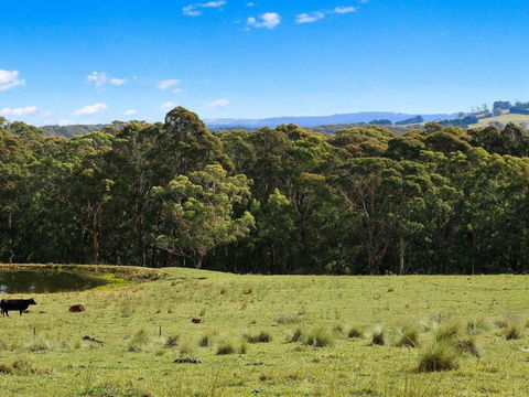 Cooinda 50 Percent Off Third Night On Weekend - Kingaroy Accommodation 5