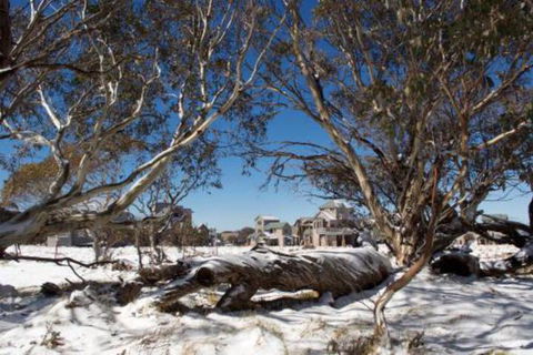 Howmans - Kingaroy Accommodation 5