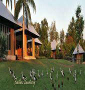 Feathers Sanctuary - Kingaroy Accommodation 6