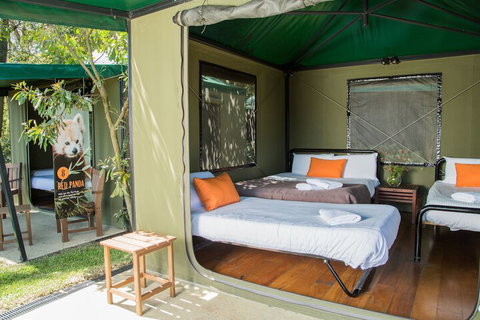 Roar And Snore At Taronga Zoo Sydney - Kingaroy Accommodation 1