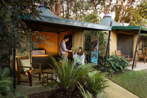 Roar And Snore At Taronga Zoo Sydney - Kingaroy Accommodation 4