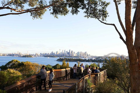 Roar And Snore At Taronga Zoo Sydney - Kingaroy Accommodation 6