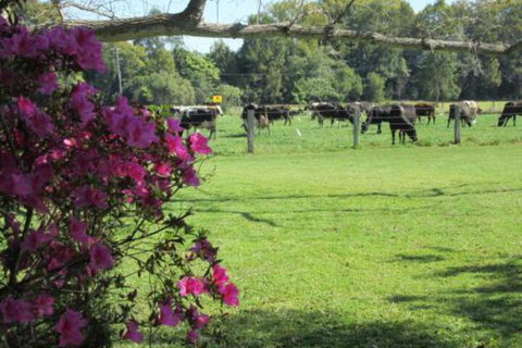 Greenfields - Kingaroy Accommodation 2