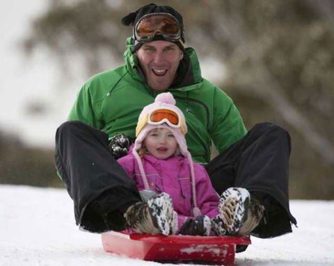 Ski Bird - Kingaroy Accommodation 4