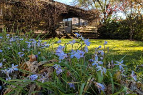 Alexander Cottage - Kingaroy Accommodation 3
