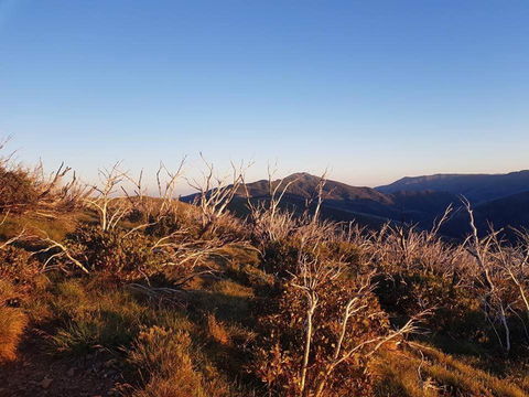 Vertical Limit - Kingaroy Accommodation 5