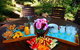 Glamping Byron Bay - thumb 5