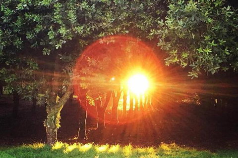 Glamping Byron Bay - Kingaroy Accommodation 7