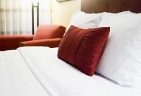 Daisy Accommodation 3 Branch - Kingaroy Accommodation 0