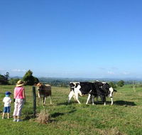 MilaViews - Kingaroy Accommodation