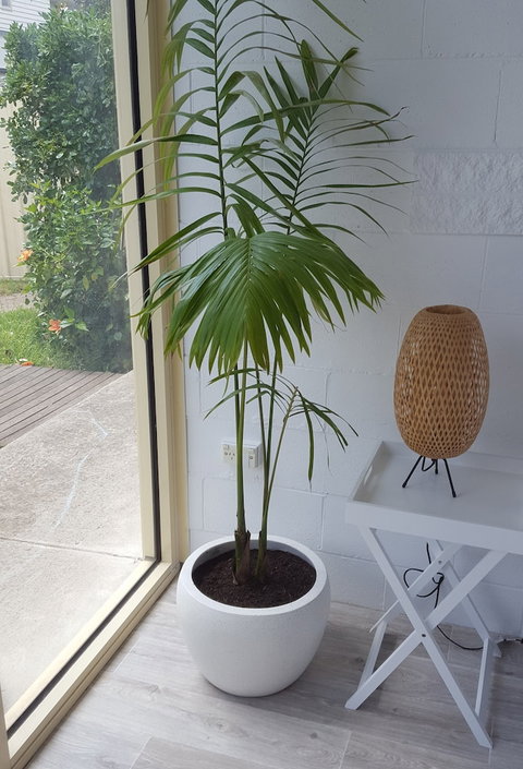 Beach Holiday Apartments Motel - Kingaroy Accommodation 5