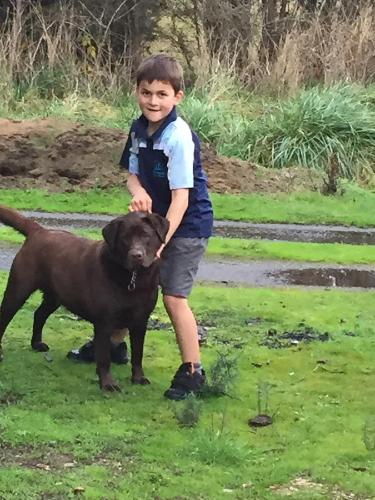 Harlea - Kingaroy Accommodation 6