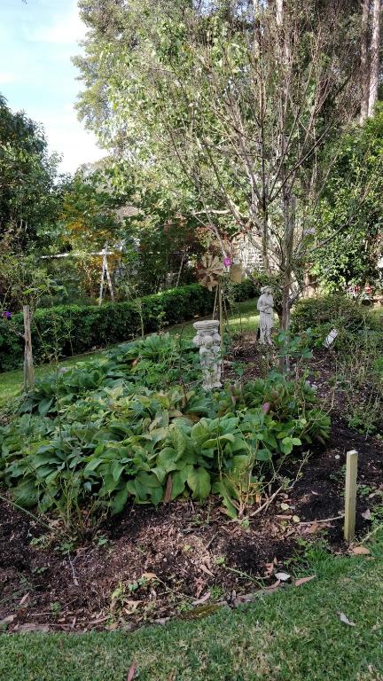 Laurel House - Kingaroy Accommodation 3