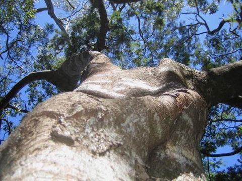 Arthur Riverfront & Sea Lodge Downstream - Kingaroy Accommodation 4