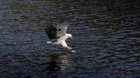 Arthur Riverfront & Sea Lodge Downstream - Kingaroy Accommodation 3