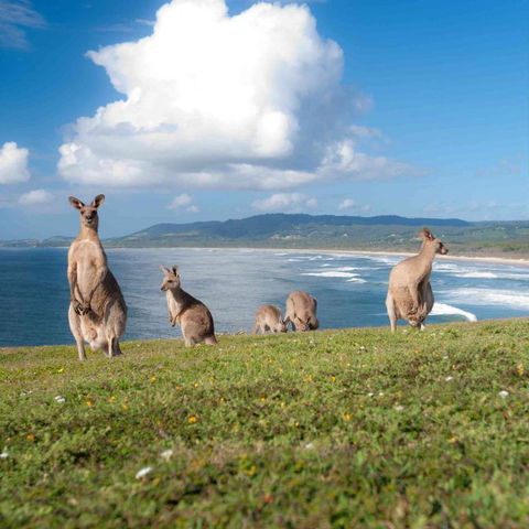 FAMILY ISLAND GETAWAY BEACHFRONT APARTMENT - Kingaroy Accommodation 4