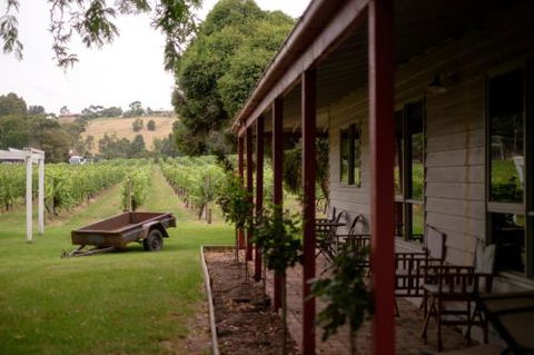 Fergusson Winery Homestead Accomodation - Kingaroy Accommodation 2
