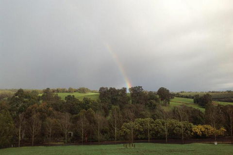 The Green Welly Stop - Kingaroy Accommodation 2