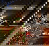 Hidden Valley Forest Retreat - Kingaroy Accommodation