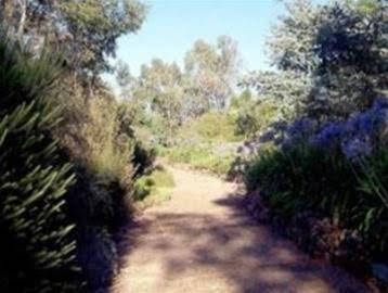 Cockatoo Valley SA Kingaroy Accommodation