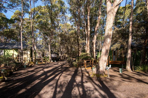 Lake St Clair Lodge - Kingaroy Accommodation 2