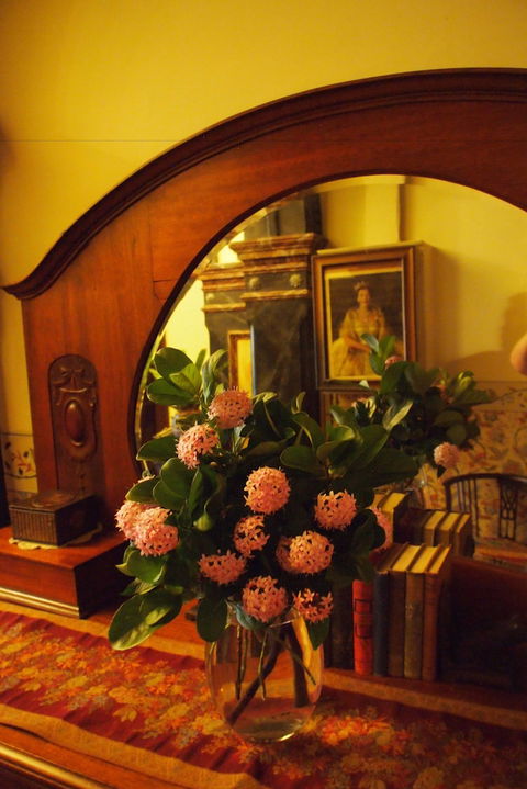 Vacy Hall Toowoomba's Grand Boutique Hotel - Kingaroy Accommodation 6