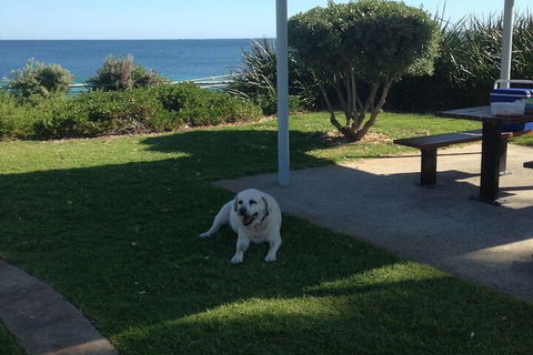 Safety Bay Guest House - Kingaroy Accommodation 6