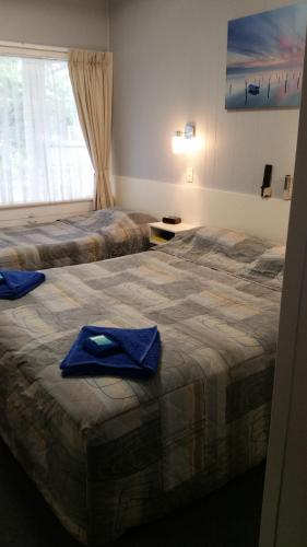 The Tree Motel - Kingaroy Accommodation 1