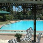 The Tree Motel - Kingaroy Accommodation 0