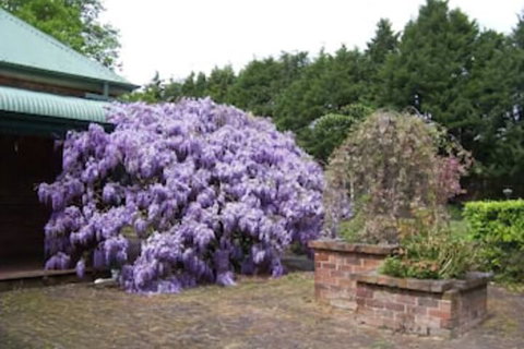 Heronswood House B & B - Kingaroy Accommodation 2