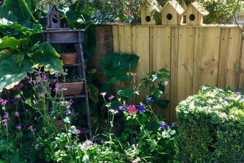 Aggies Bed & Breakfast - Kingaroy Accommodation 7