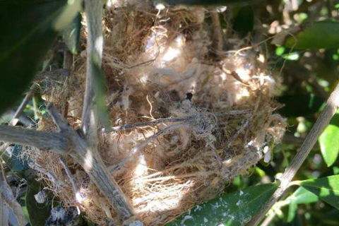 Aggies Bed & Breakfast - Kingaroy Accommodation 2